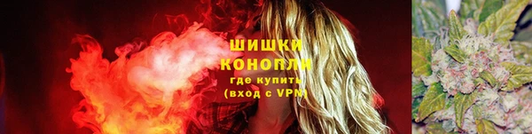 молекула духа Вязьма