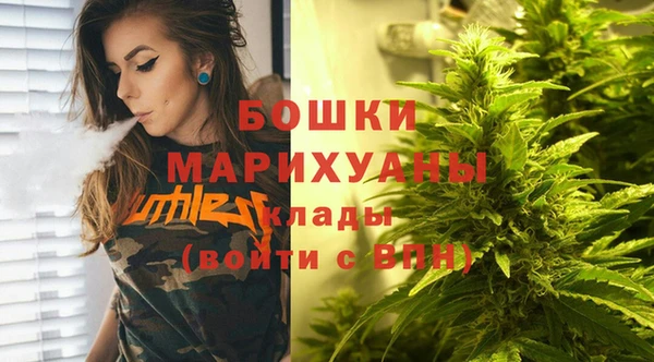 PSILOCYBIN Вяземский